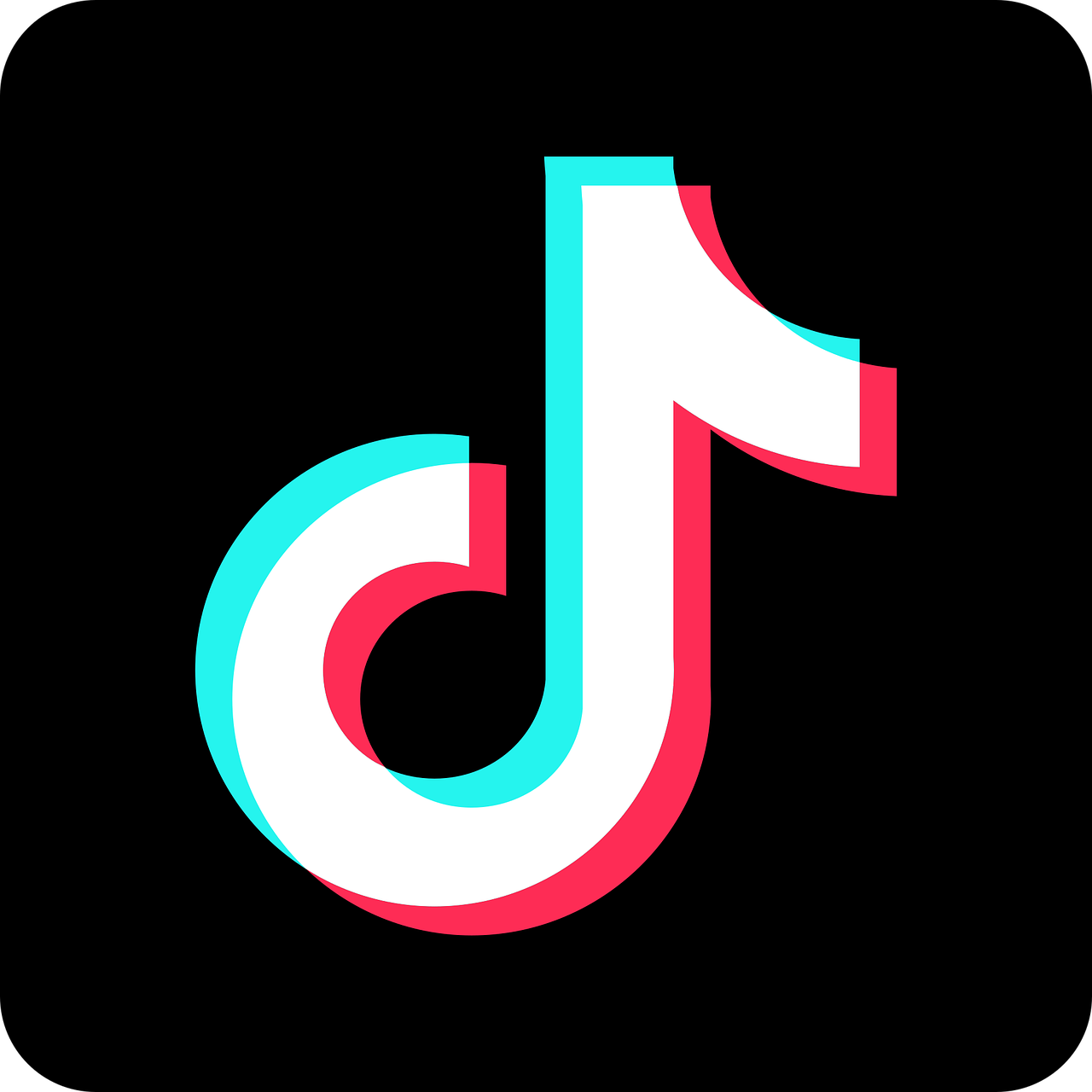 TikTok Follower